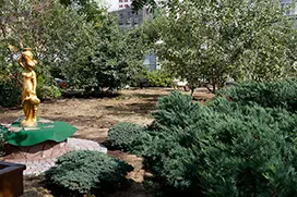 Замена газона, до