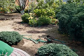 Замена газона, до