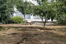 Замена газона, до