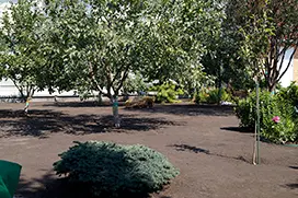 Подготовка земли под газон