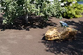 Подготовка земли под газон