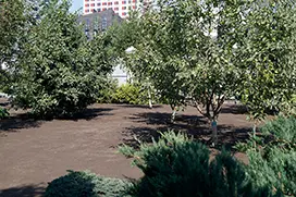 Подготовка земли под газон