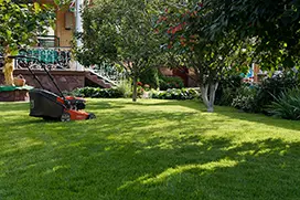 Газон после укладки