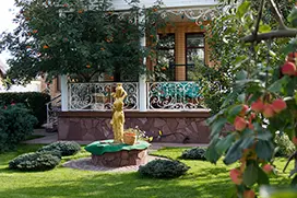 Газон после укладки