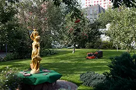 Газон после укладки