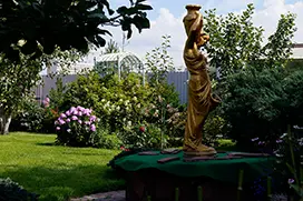 Газон после укладки