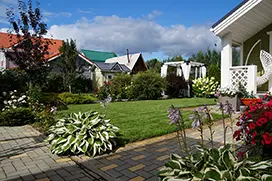 Густой газон из мятлика после профессиональной укладки — пример нашей работы на даче