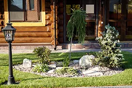 Озеленение территории