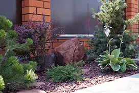 Озеленение территории