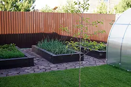 Озеленение территории