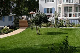 Укладка рулонного газона, после