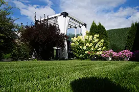 Натуральный газон в рулонах для частного сектора — завершенный проект озеленения в Тюмени